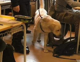 Cani antidroga al Torriani, cinque studenti segnalati