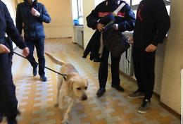 FOTO Le immagini del blitz antidroga all'Itis Torriani di Cremona