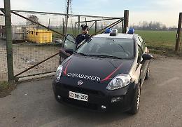 Tenta di rubare in discarica, preso e denunciato