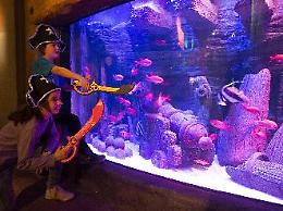Carnevale e World Wildlife Day a Gardaland Sea Life Aquarium