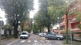 Via Bacchetta, taglio degli alberi: il Comune dà via libera alle motoseghe