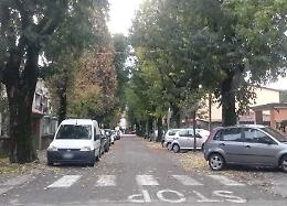 Arriva il taglio dei 29 alberi, verranno sostituiti da peri