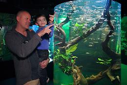 Festa del papà e Notte all'Acquario a Gardaland Sea Life Aquarium
