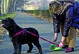 Zolfo contro i cani, bagarre sui social