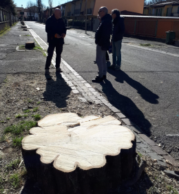 Via Bacchetta, è bufera politica rovente