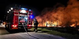 Incendio di sterpaglie, vigili del fuoco in azione