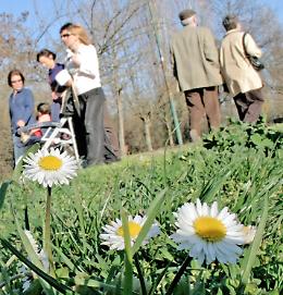 Venerdì 14 raggiunti i 23,5 gradi