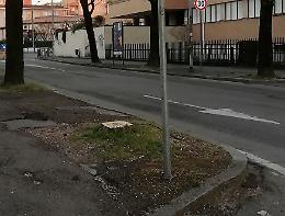 Dopo i bagolari la quercia. La sinistra: scelta insensata