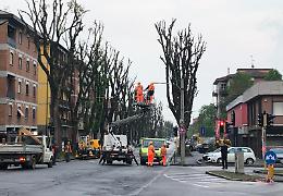 Linea aerea del filobus, venerdì 20 maggio rimozione in via Giuseppina