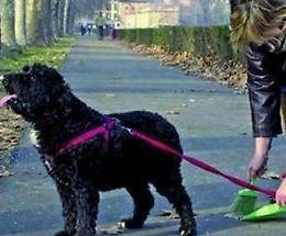 Cani e padroni, Bergo: "Una situazione indegna"