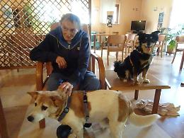 Pet Therapy all'Hospice, la relazione diventa terapia