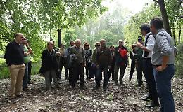 Il bosco di pianura è tornato a vivere