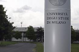 Università, "Non c'è più tempo"