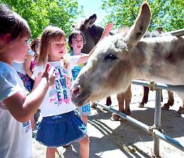 Baby Asino Day, bambini e genitori a scuola di natura