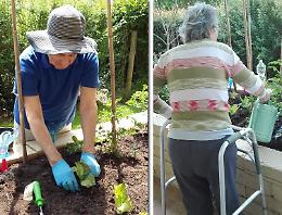 L'orto, i fiori e le felci per combattere l'Alzheimer