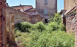 Il muro di Agoiolo contro l’invasione di topi e bisce
