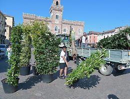 Listone, un giardino grazie ai commercianti