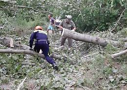 Soncino, alberi ko. Famiglia bloccata nel parco
