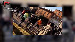 Cremona Dissing, sgominata baby gang dai carabinieri