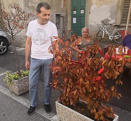 Vandali in azione, piante e fiori nel mirino