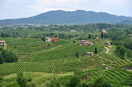 Le colline del Prosecco diventano patrimonio Unesco