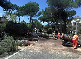  Flagello maltempo in vacanza, grandine come arance. Tempesta a Milano Marittima 