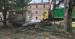 Rimosse le  piante pericolanti ai giardini