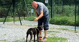 Abbandoni, il canile scoppia:  adozioni possibili