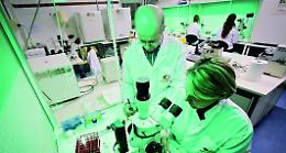  Dal Giappone sì a embrioni uomo-topo per ottenere organi