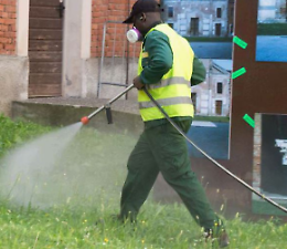 Febbre del Nilo,  il contagio fa paura