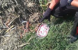 Trovate 40 siringhe sporche di sangue  lungo le rogge