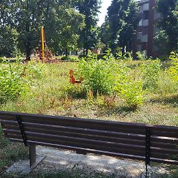 Parco Monti come una giungla