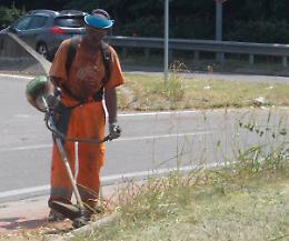 Erba alta, salgono le proteste: sfalci, il Comune entra in azione