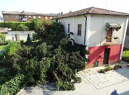 Maltempo, saetta sulla canonica. Strage di piante