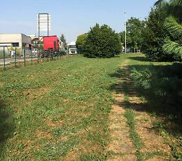 Area cani vietata di notte, protestano i padroni