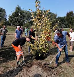 Progetto Albero, abbattere le emissioni di anidride carbonica