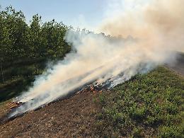 Piromane di nuovo in azione, fuoco sull'argine