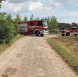 Incendi dolosi senza fine, pompieri in azione a Motta