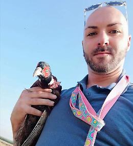 Caccia aperta, Christian salva un fagiano appena in tempo