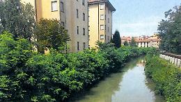 Naviglio Civico, paura e appello: 'Sponde a rischio: intervenite'