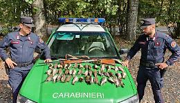Caccia con richiami vietati: sequestri ad Azzanello e Stagno Lombardo