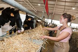 FOTO Giovani agricoltori con i loro animali: gli scatti più belli delle Fiere Zootecniche