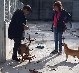 In tanti a Gioca con Noi