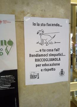 Cani e sporcizia, la protesta dei commercianti