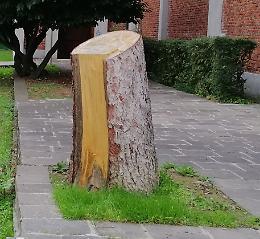 La Fiab si scaglia contro il don