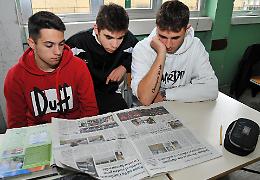 La Provincia alla Casearia