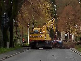 Viale dei tigli, giù le ultime piante. Progetto di rilancio