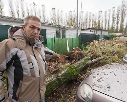 Albero sul bungalow, famiglia salva per miracolo