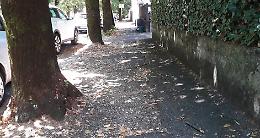 Marciapiedi sporchi, il Comune  bacchetta i privati
