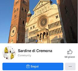Anche a Cremona arrivano le 'Sardine', per ora niente flash mob